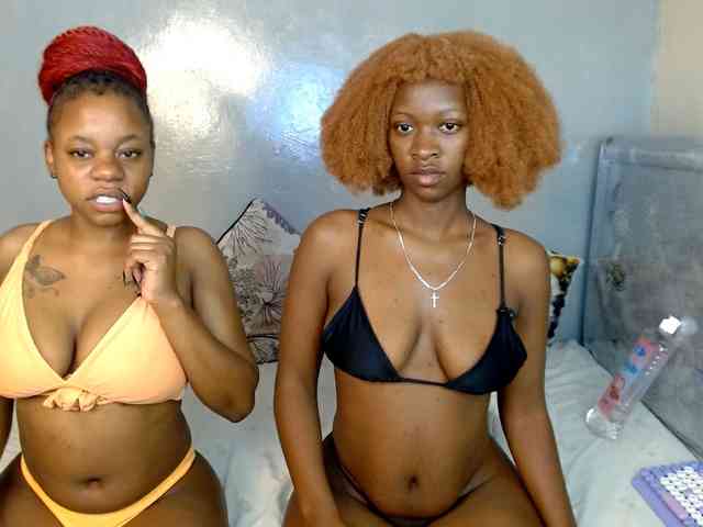 Royal309 webcam