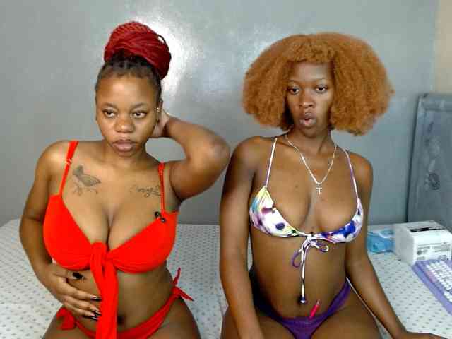 Royal309 webcam
