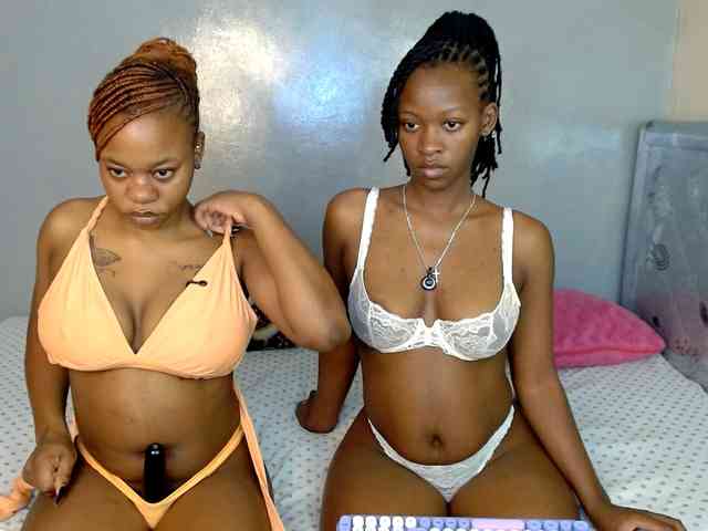 Royal309 webcam