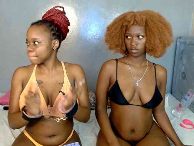 Royal309 webcam