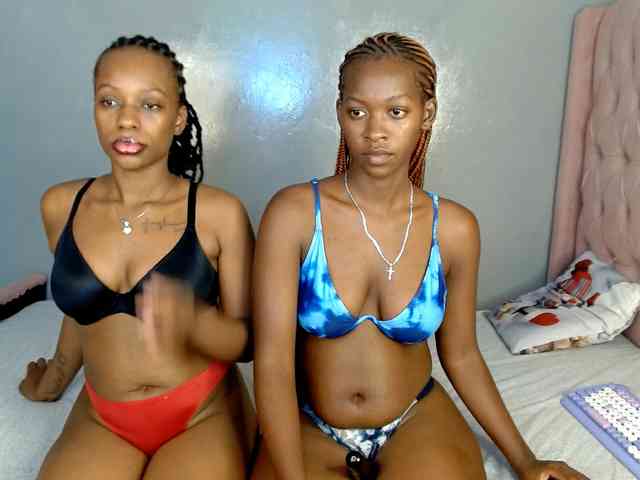Royal309 webcam