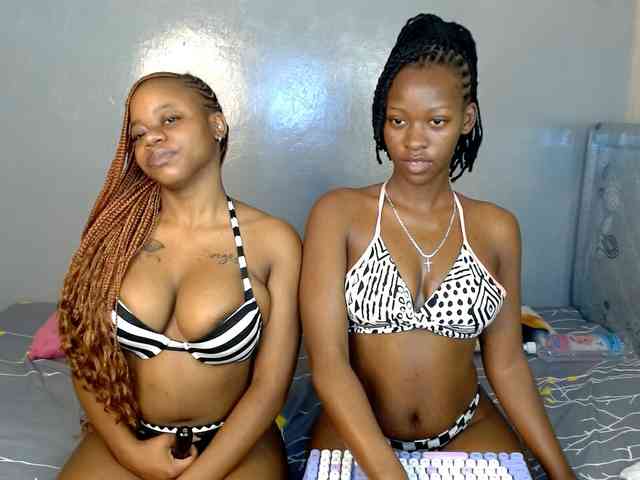 Royal309 webcam