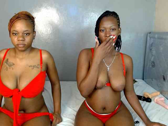 Royal309 webcam