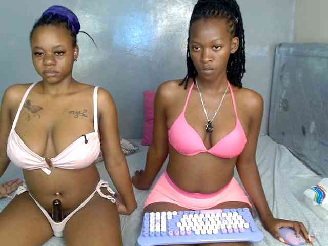 Royal309 webcam