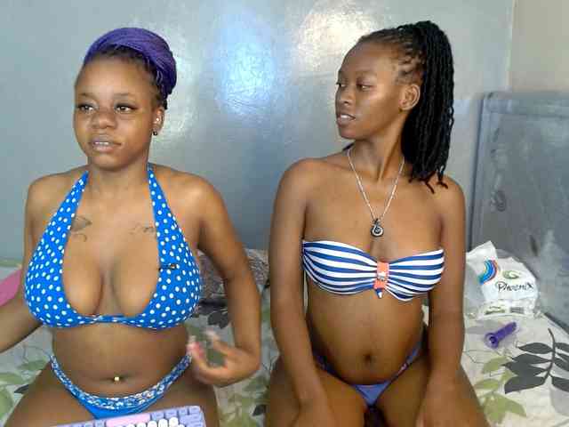 Royal309 webcam