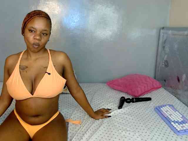 Royal309 webcam