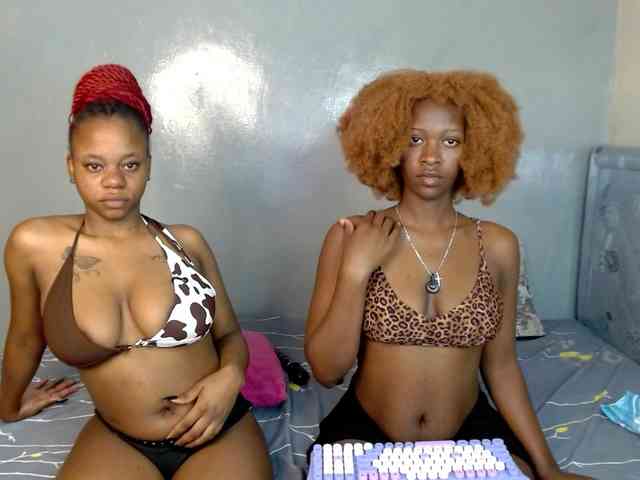 Royal309 Live Webcam on BongaCams