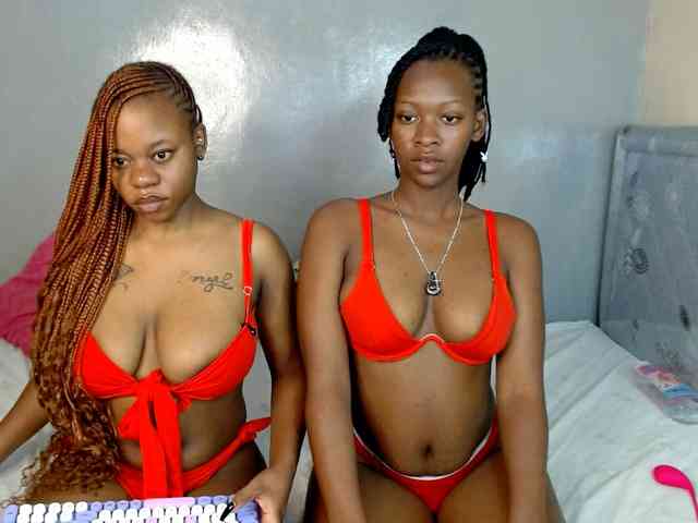 Royal309 webcam