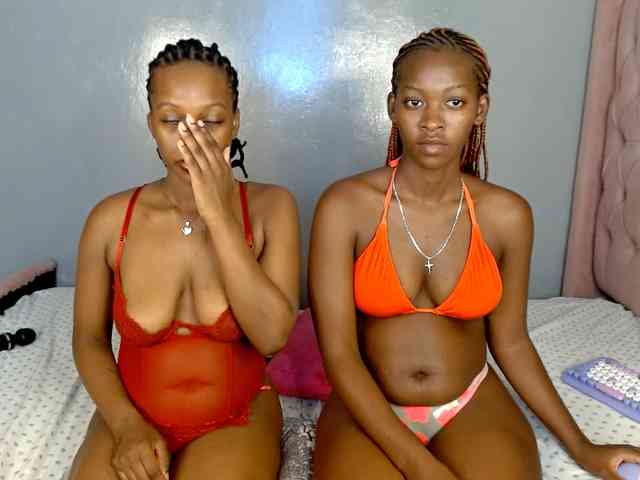 Royal309 webcam