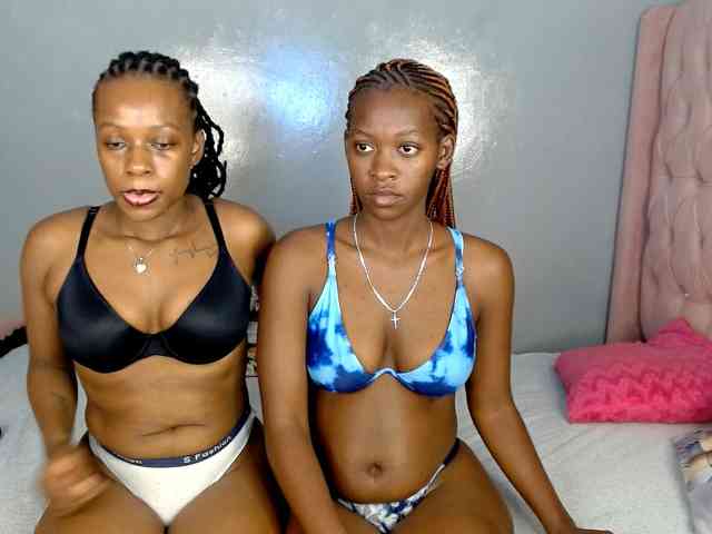 Royal309 webcam
