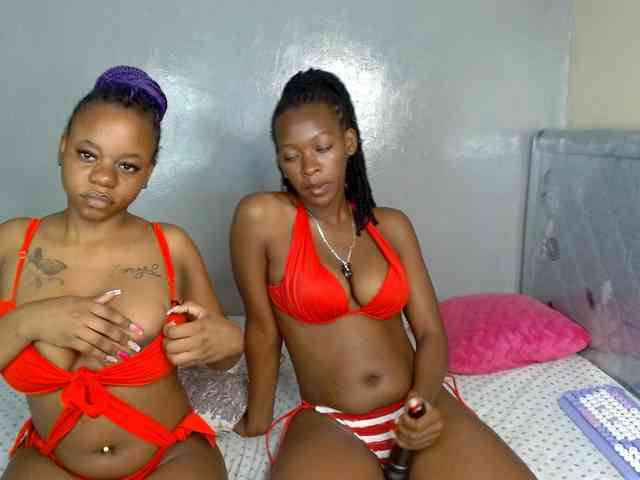 Royal309 webcam