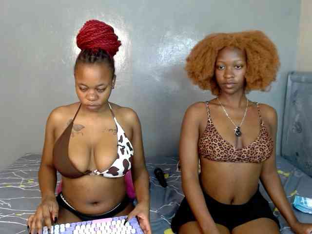 Royal309 Live Webcam on BongaCams