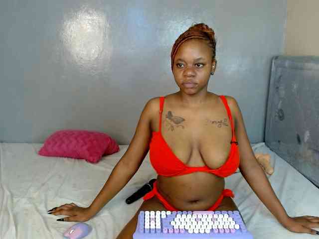 Royal309 webcam