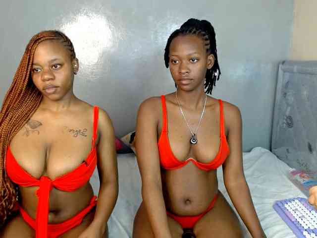 Royal309 webcam