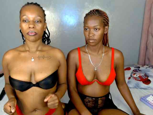 Royal309 webcam