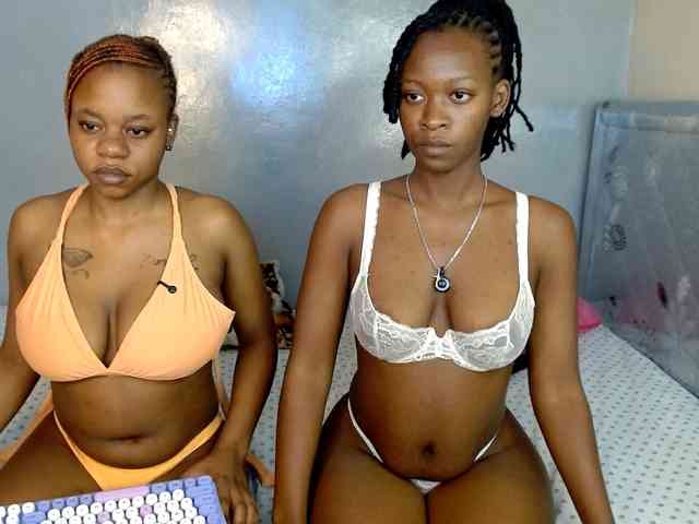 Royal309 webcam