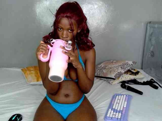 Royal309 webcam