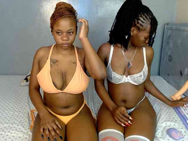 Royal309 webcam