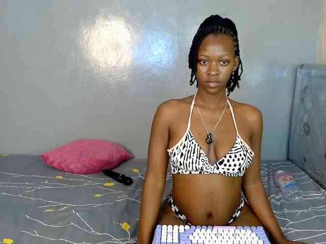 Royal309 webcam