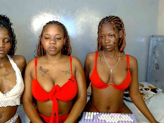 Royal309 webcam