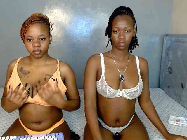 Royal309 webcam