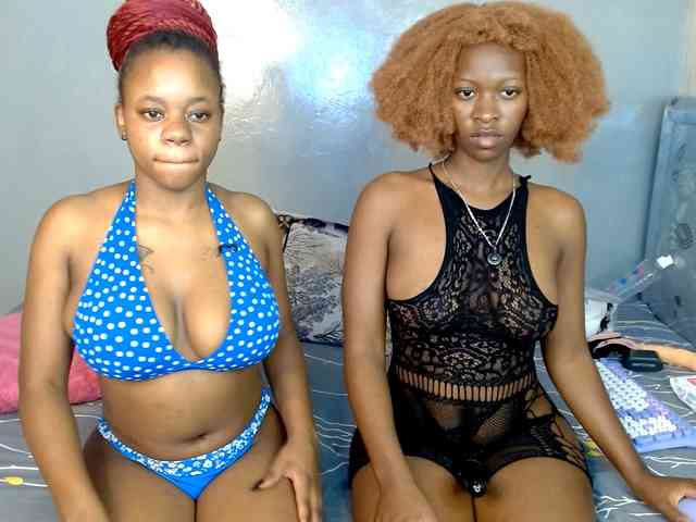 Royal309 webcam