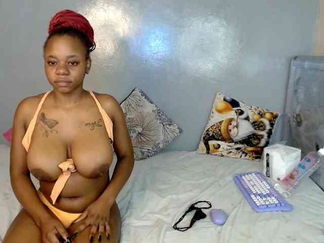 Royal309 webcam