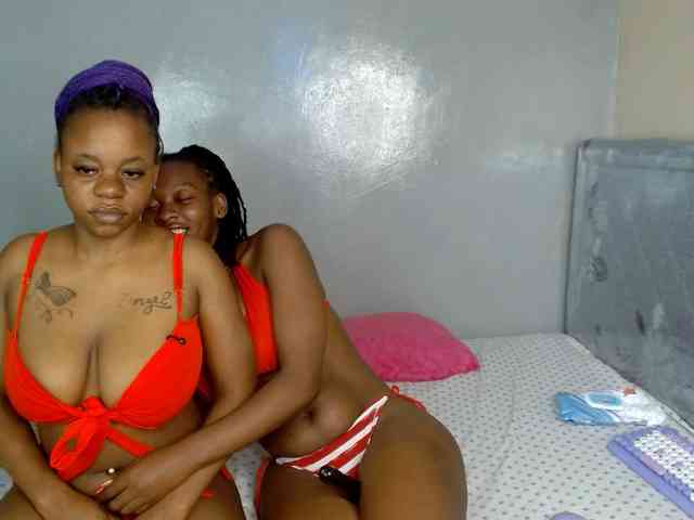 Royal309 webcam
