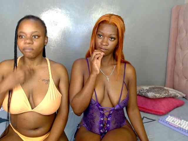Royal309 webcam