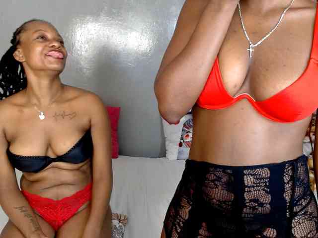 Royal309 webcam