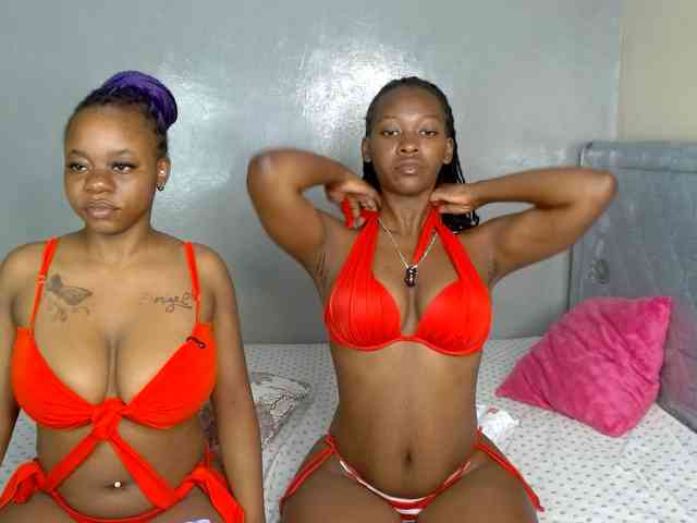 Royal309 webcam