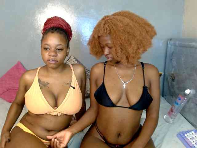 Royal309 webcam