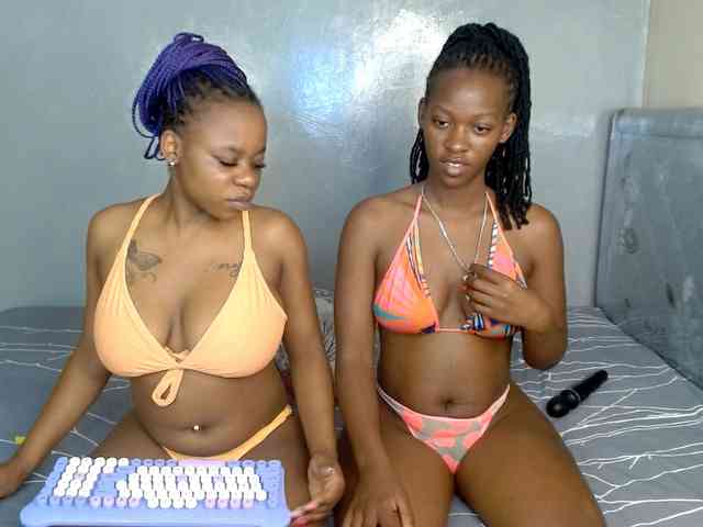 Royal309 webcam
