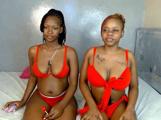 Royal309 webcam