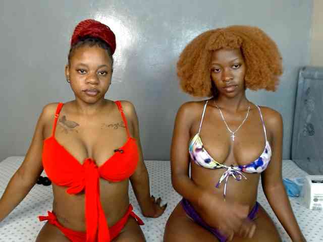 Royal309 webcam