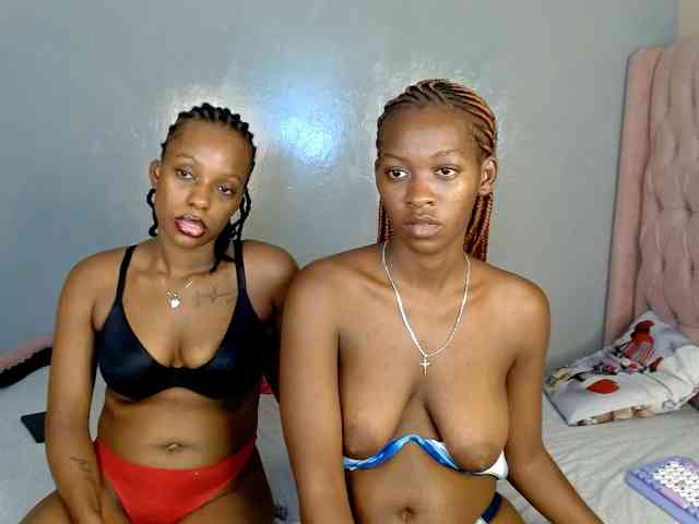 Royal309 webcam