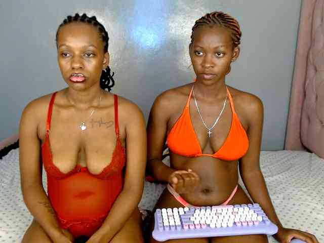 Royal309 webcam