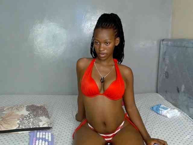 Royal309 webcam