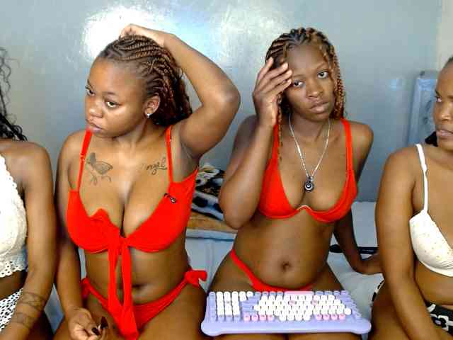Royal309 webcam
