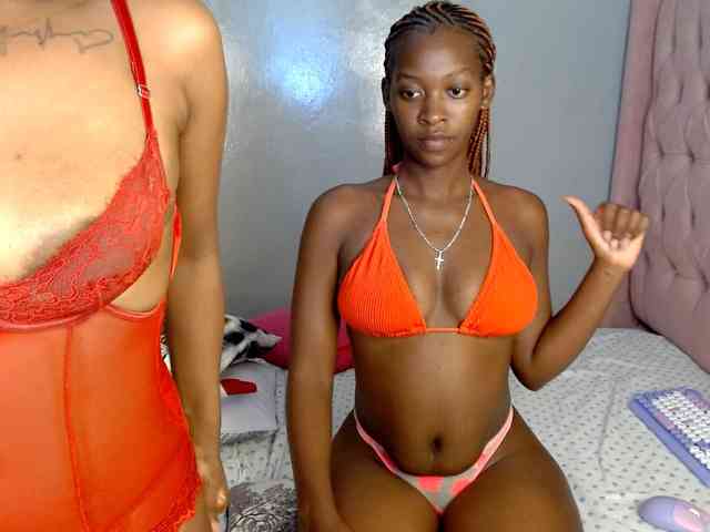 Royal309 webcam