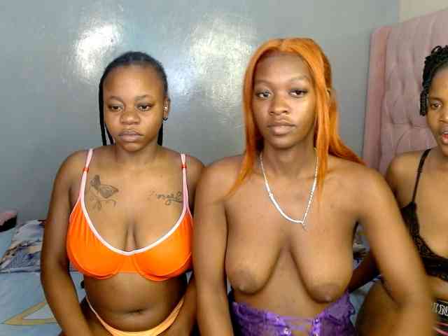 Royal309 webcam
