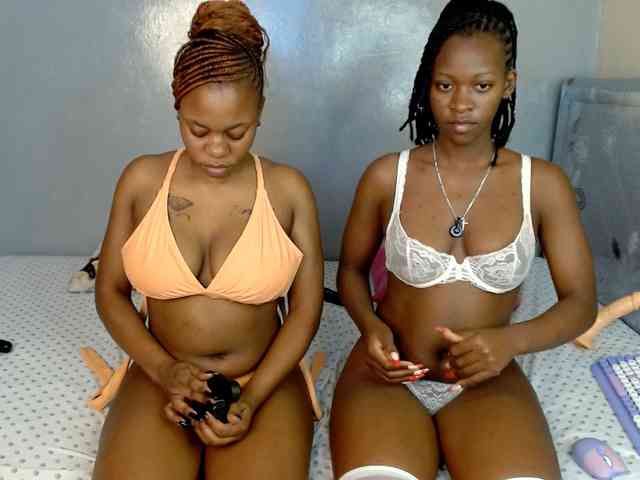 Royal309 webcam