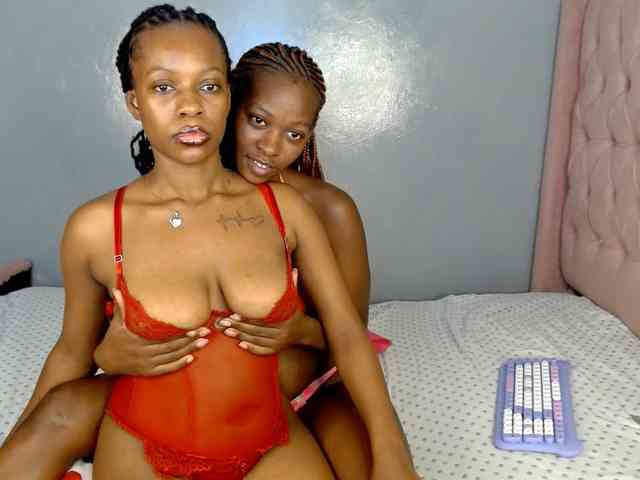Royal309 webcam