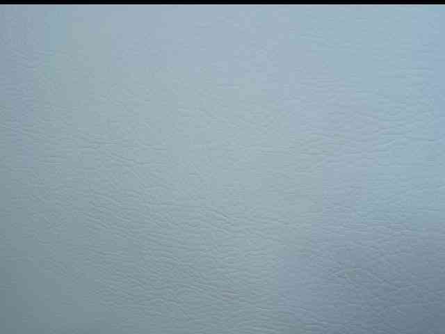 Octaviarouse webcam