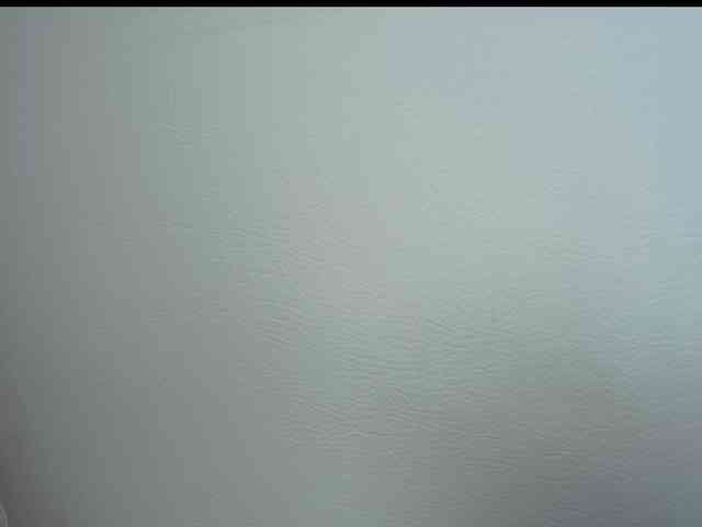 Octaviarouse webcam