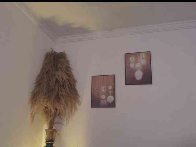 Octaviarouse webcam