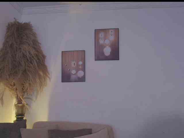 Octaviarouse webcam
