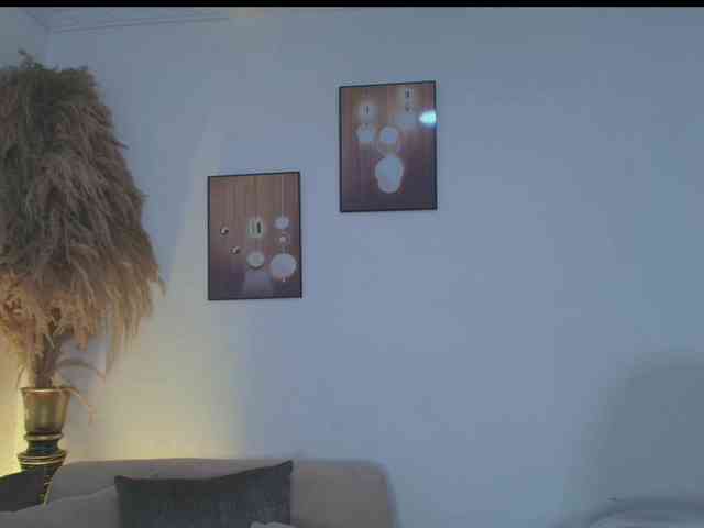 Octaviarouse webcam