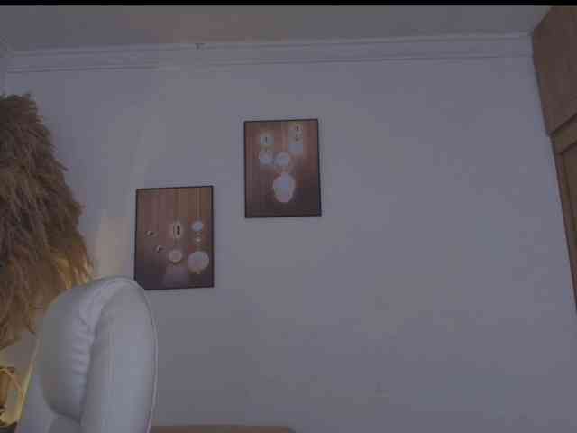 Octaviarouse webcam