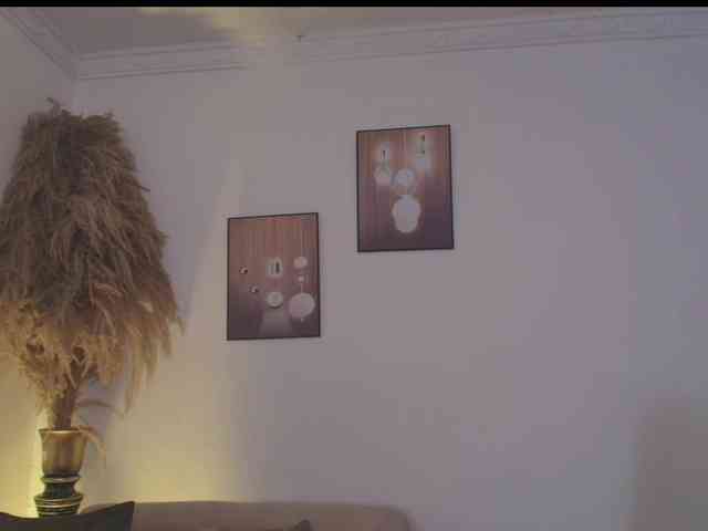 Octaviarouse webcam
